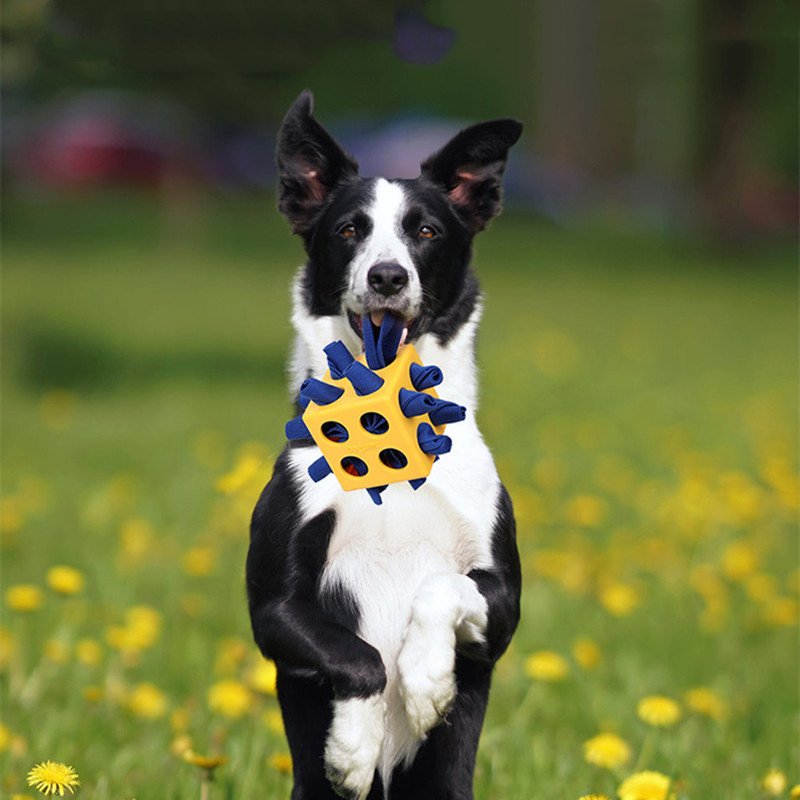 Pet Long Lasting Educational Toy Products