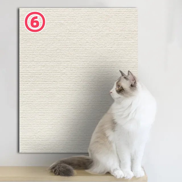 6-white