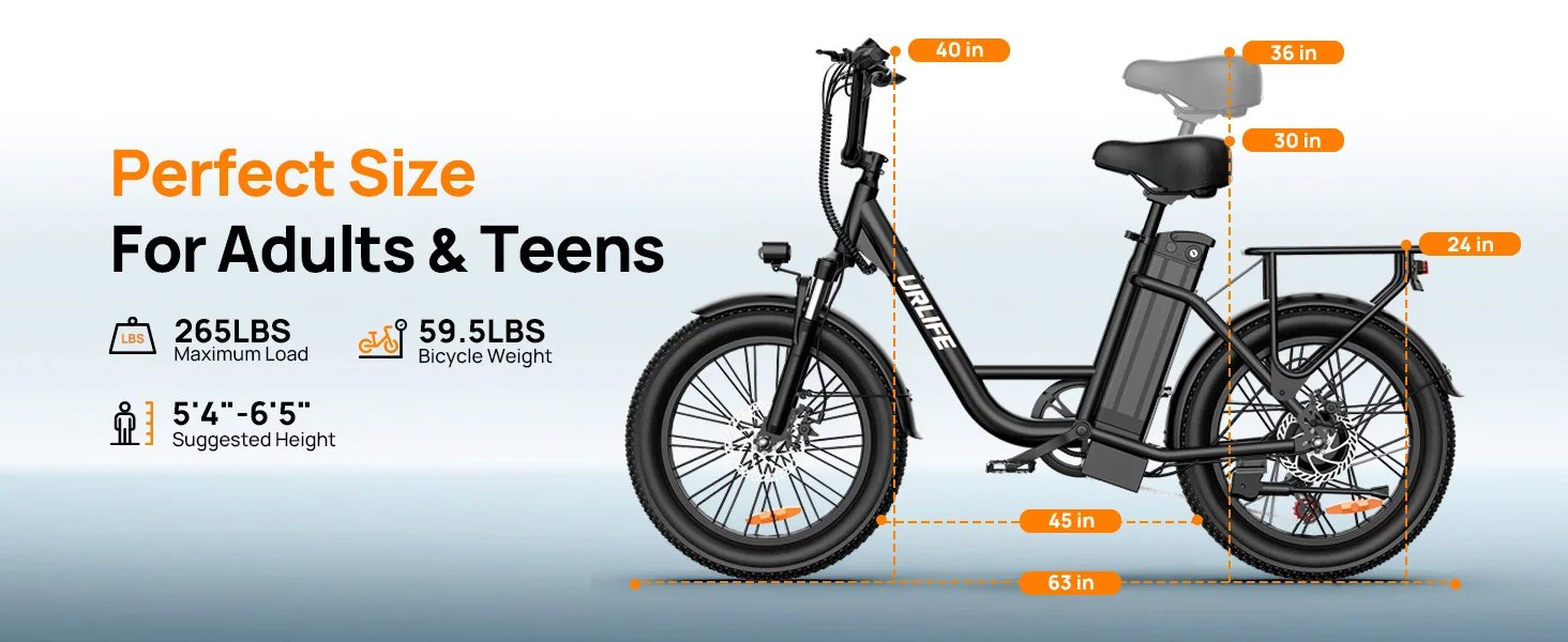 URLIFE 1000W E20 Electric Bike | 48V 13Ah Removable Battery, 20MPH, 20''X3
