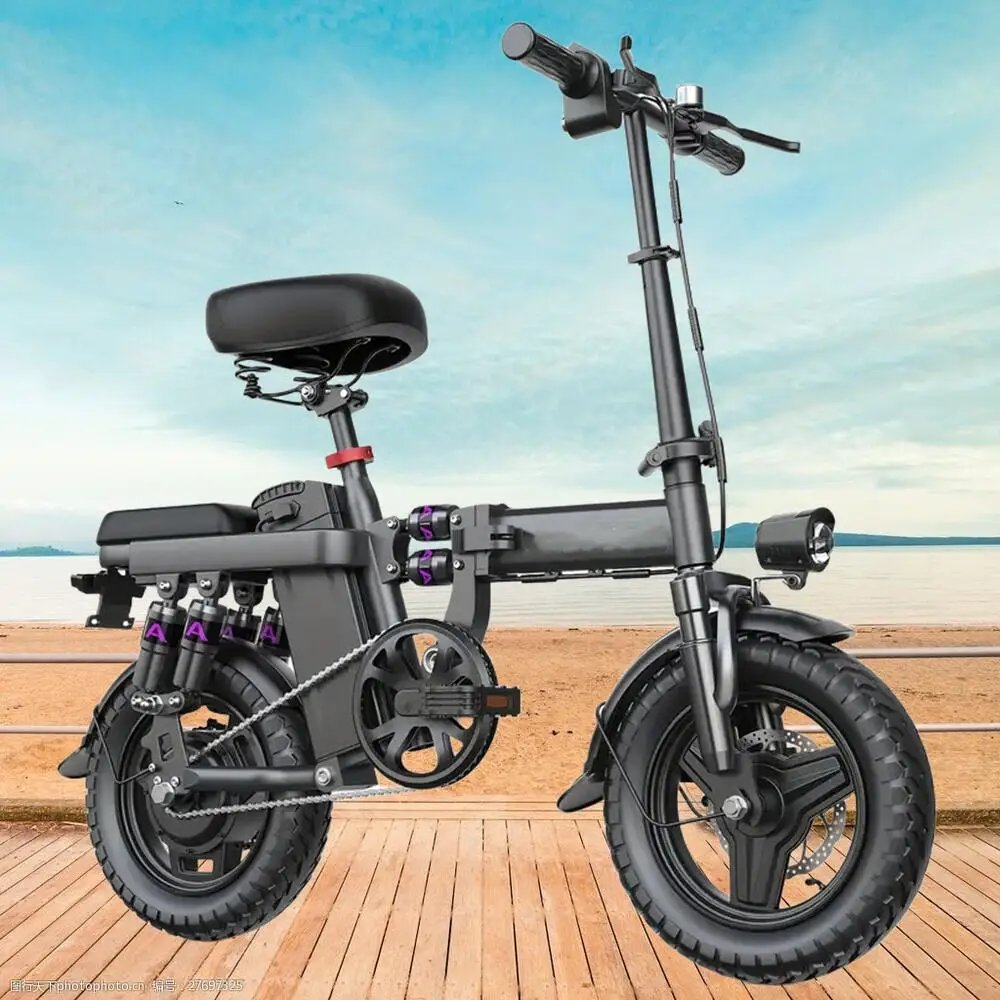 Adult Folding 500W Electric Motorbike
