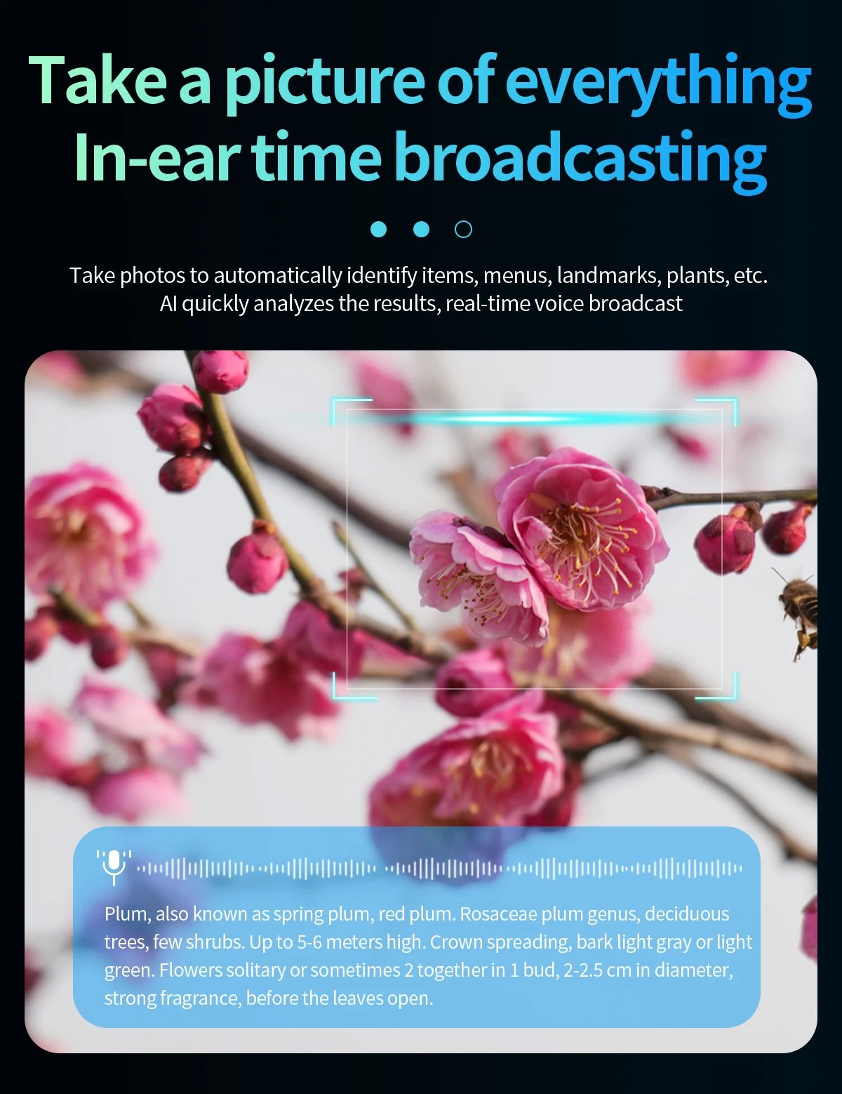 2 in1 4K Smart AI Glasses 800W pixel AI Shooting Camera HD Photo Video Voice Call Translation Waterproof Bluetooth AI Glasses