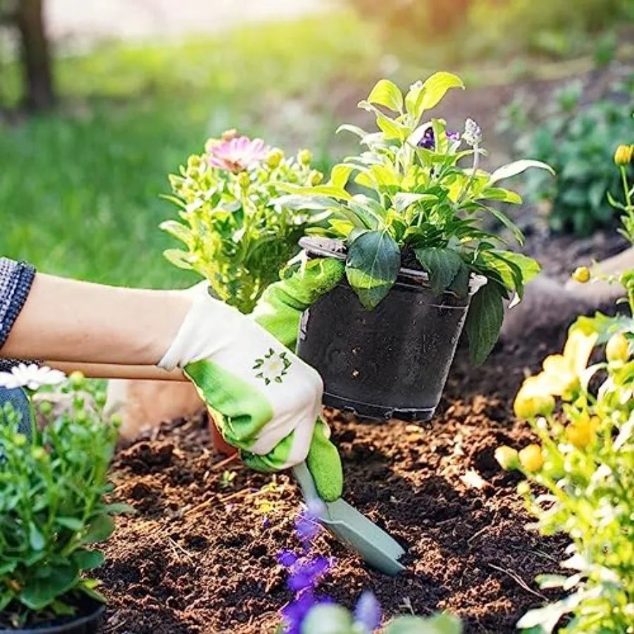 36 Packs 6 5 4 Inch Clear Nursery Pots with Drainage Holes Transparent Variety Pack Plastic Plant Pot for Planting Seed Starter 36 Packs 6 5 4 Inch Clear Nursery Pots with Drainage Holes Transparent Variety Pack Plastic Plant Pot for Planting Seed Starter