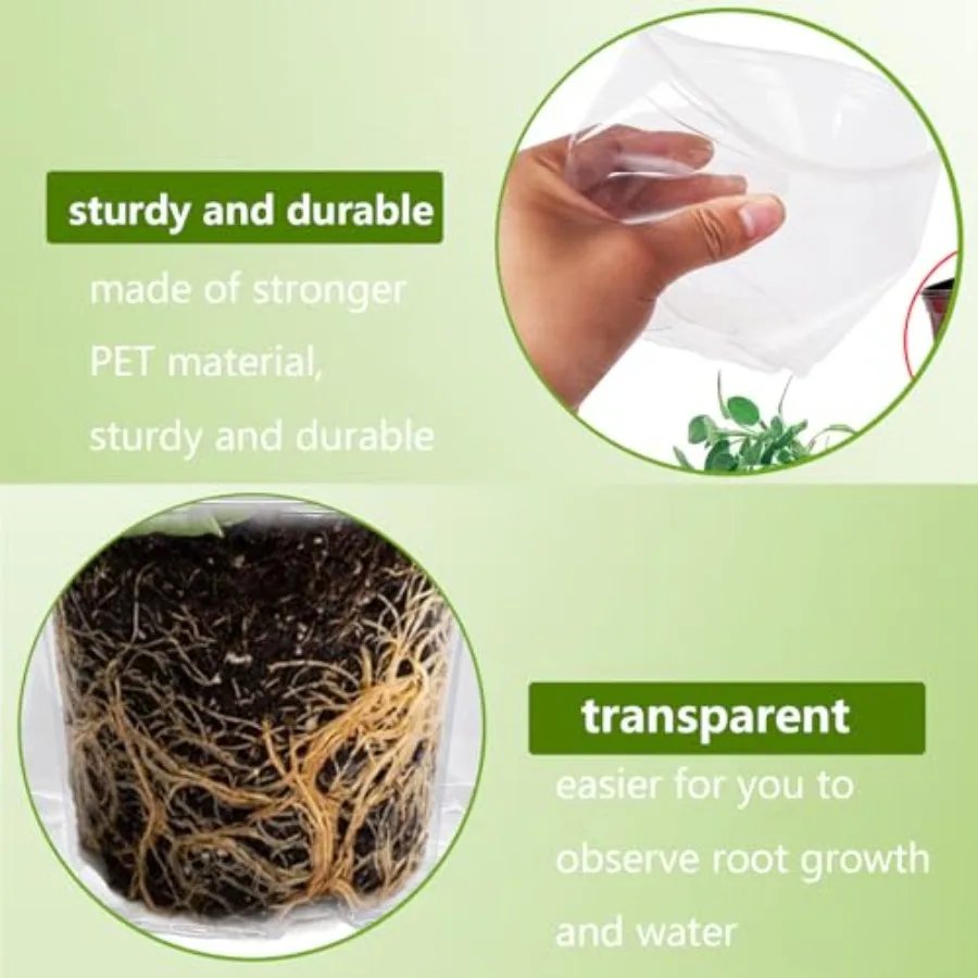 Clear Nursery Plastic Plant Pots - Image 3