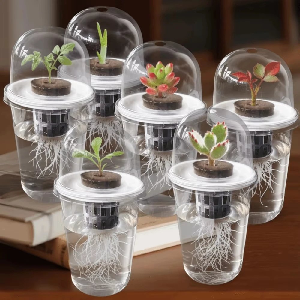 Transparent Hydroponic Seedling Plant Pot