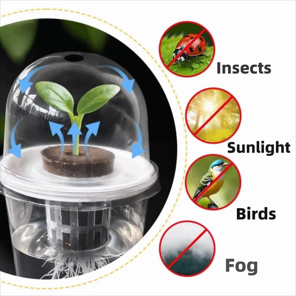 Transparent Hydroponic Seedling Plant Pot - Image 2