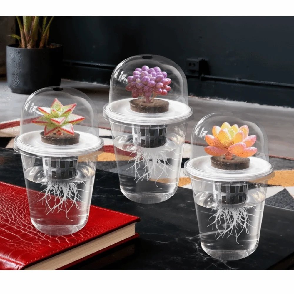 Plastic hydroponic seed planting pot - transparent and durable gardening seedling cup - reusable cup for observing plant roots Plastic hydroponic seed planting pot - transparent and durable gardening seedling cup - reusable cup for observing plant roots