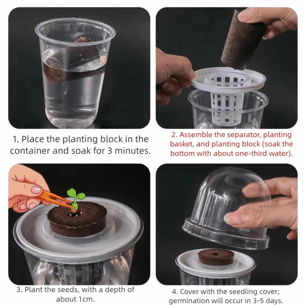 Transparent Hydroponic Seedling Plant Pot - Image 3