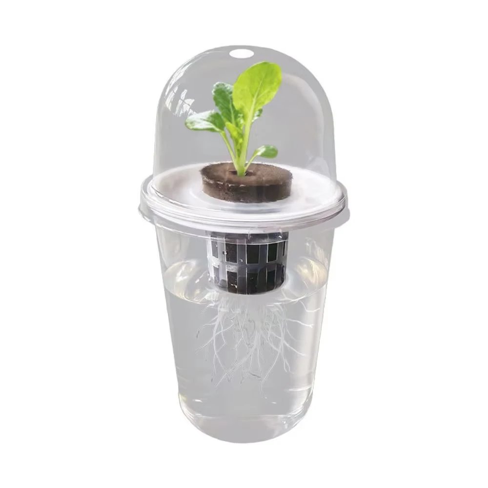 Transparent Hydroponic Seedling Plant Pot - Image 6