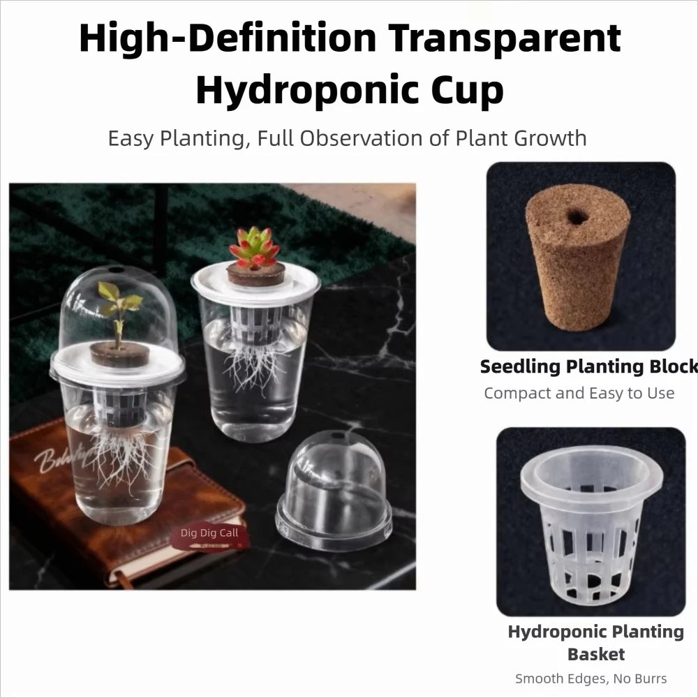 Transparent Hydroponic Seedling Plant Pot - Image 5