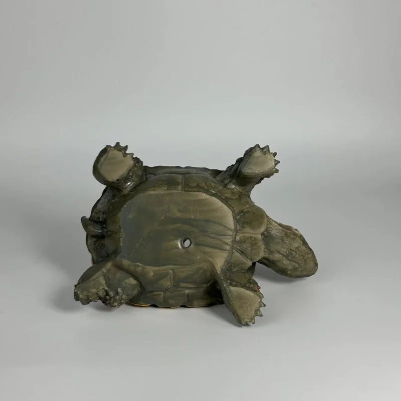 Realistic Turtle Succulent Planter with Drainage Hole. Durable Resin, Vintage Design. Perfect Gift for Plant Lovers!