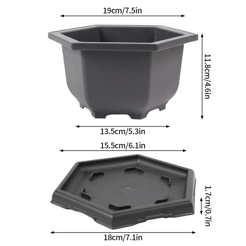 Hexagonal M and tray