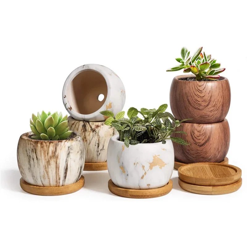 Nordic Ceramic Succulent Planter