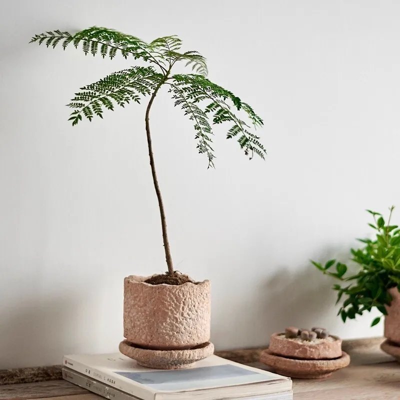 Plant Pots Table Decoration Ornaments Flower Arrangement Ceramic Vases Room Aesthetic Decor