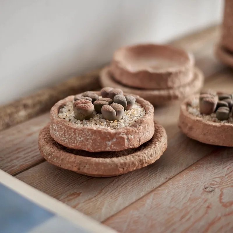 Plant Pots Table Decoration Ornaments Flower Arrangement Ceramic Vases Room Aesthetic Decor