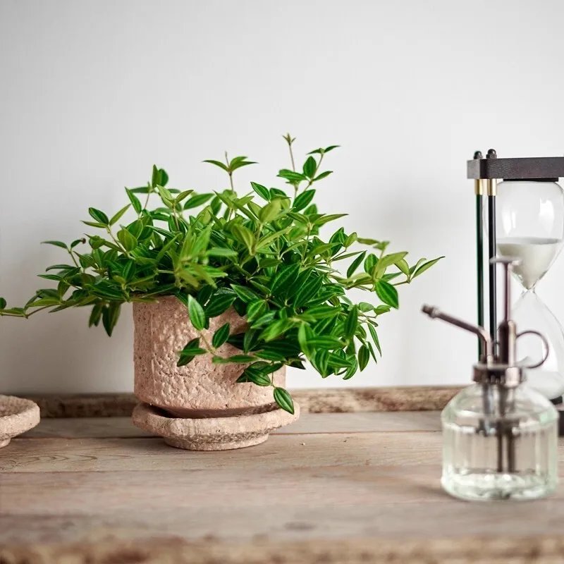 Plant Pots Table Decoration Ornaments Flower Arrangement Ceramic Vases Room Aesthetic Decor