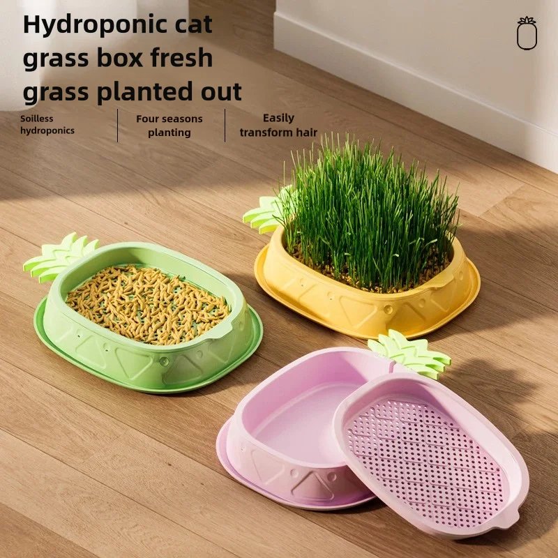 Pineapple Hydroponic Cat Grass Planter