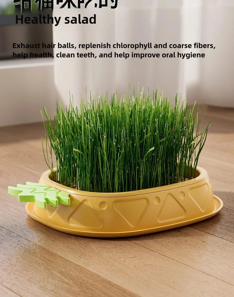 Hydroponic Cat Grass Planter Cat Grass Planter Tray Pineapple Design Plant Germination Tray Wheat Grass Growing Pot Nursery Cat