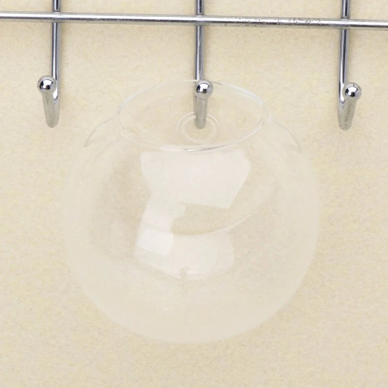 Glass Vase Wall Hanging Hydroponic Terrarium Fish Tanks Potted Plant Flower pot R7UB