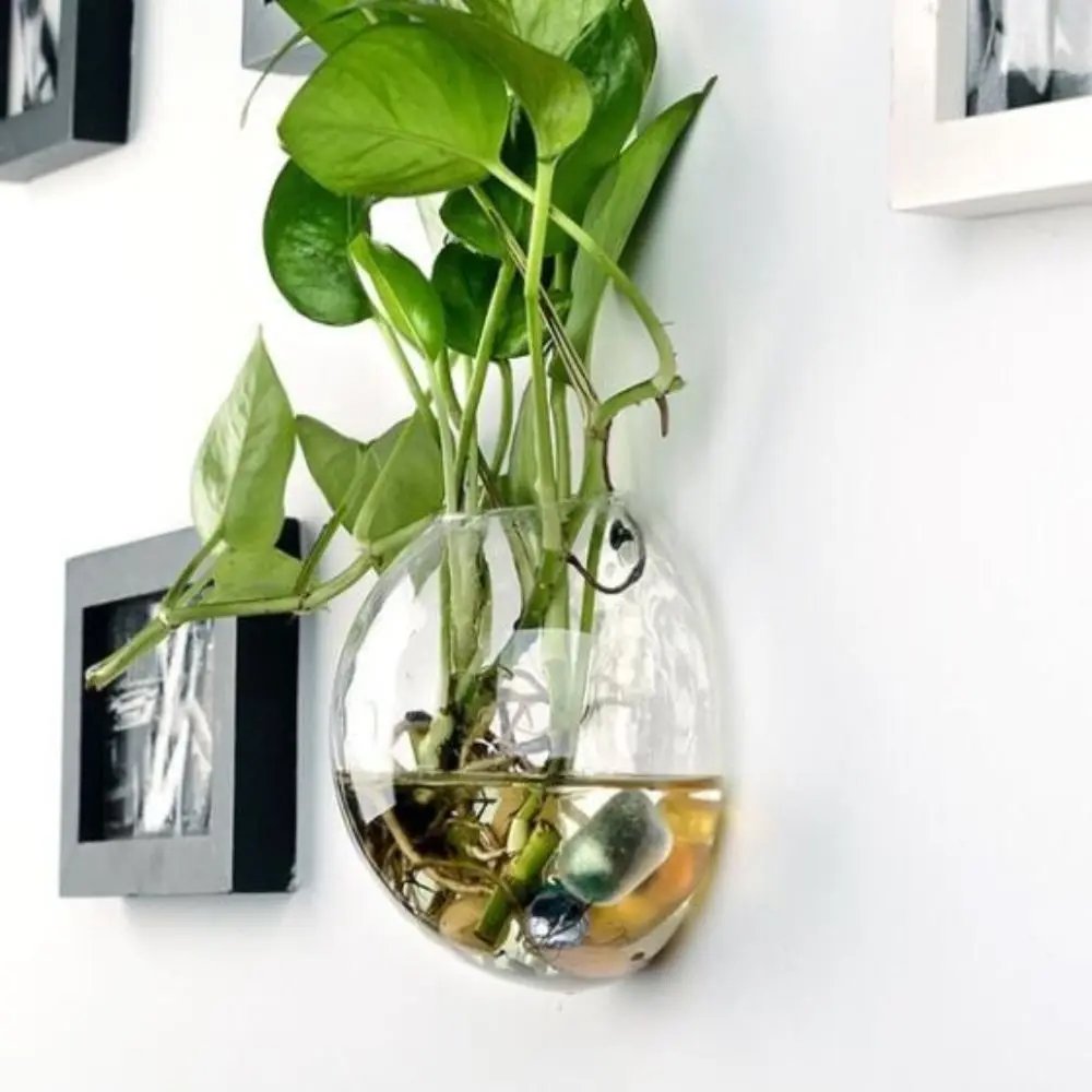 Transparent Glass Vase Wall Hanging Hydroponic Terrarium Fish Tanks Potted Plant Flower Pot Dia 8cm/10cm/12cm/13cm/15cm