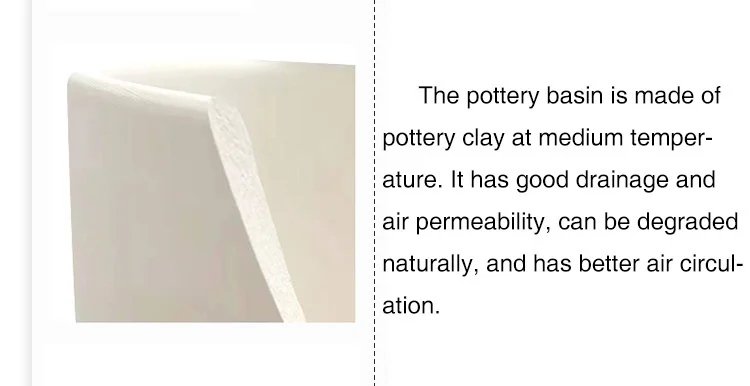 Flower Plant Pot Colorful Ceramic Flowerpot Nordic Style Succulent Planter Cylindrical Flower Pots With Hole Garden Decoration