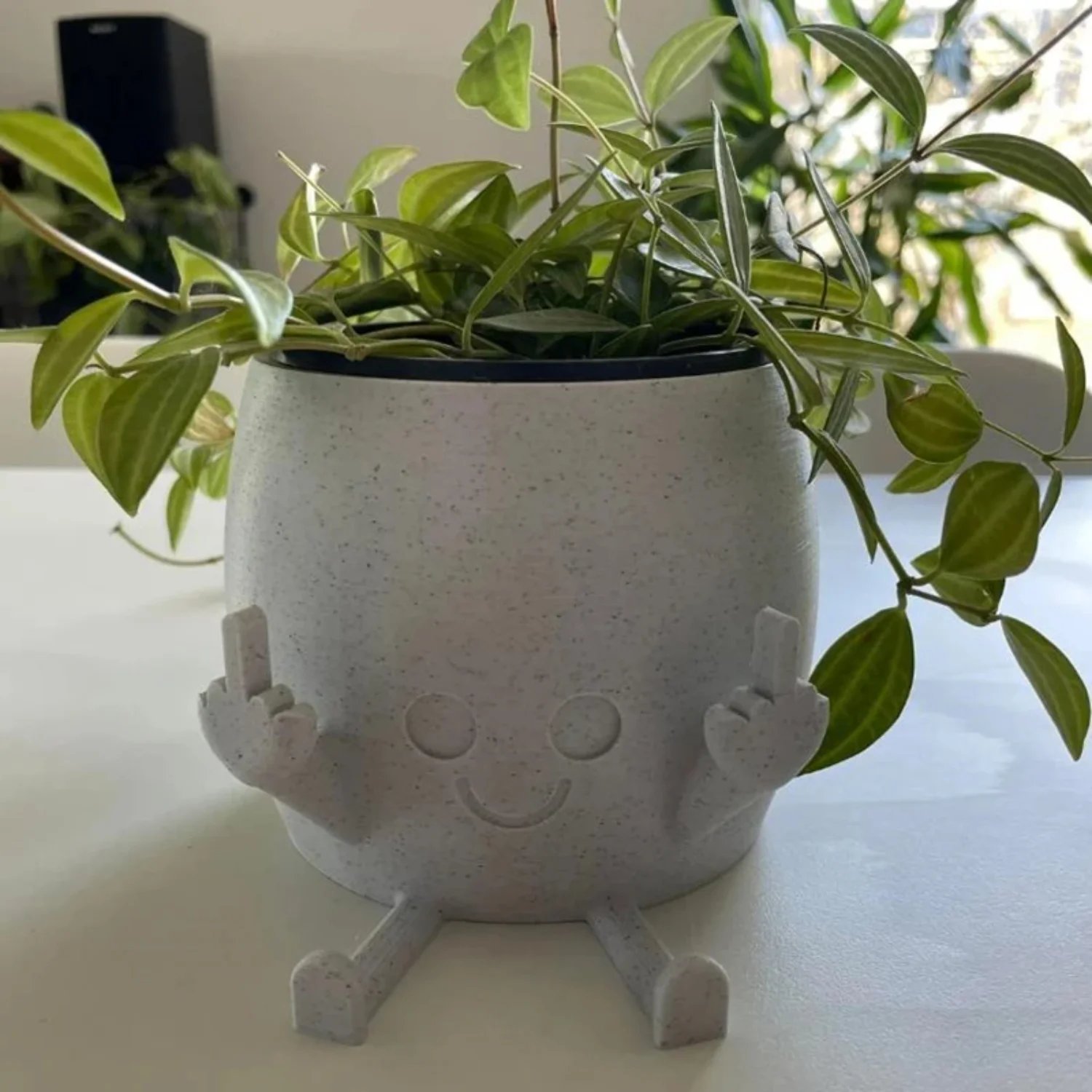 Cute Kawaii Middle Finger Planter