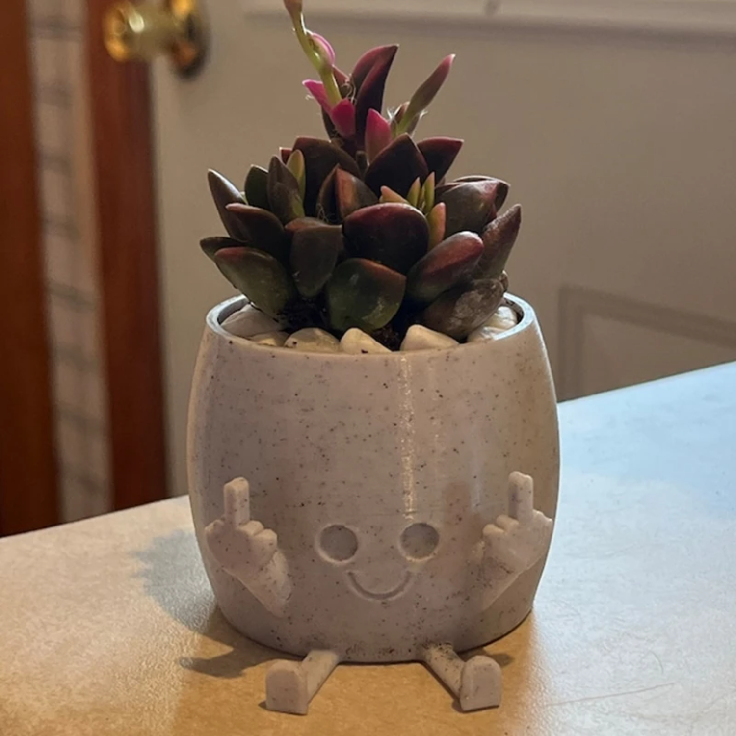 Cute Middle Finger Happy Planter Kawaii Succulent Planter Pot Flower Green Plants Pot Household Office Table Mini Decorate Groot