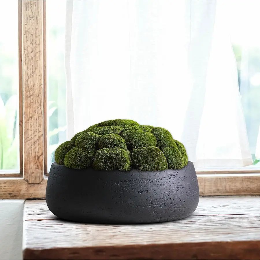 Large Ceramic Planter Bowl Shallow Plant Pot Matt Black Flower Pot Indoor and Outdoor Garden Decor