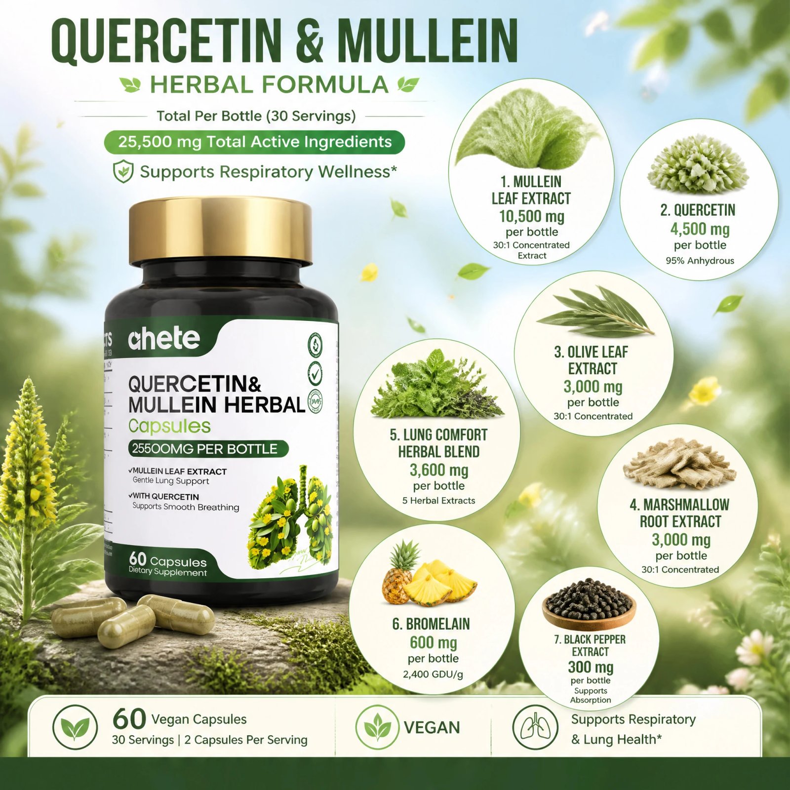 AHETE Mullein Leaf & Quercetin Capsules - Image 3