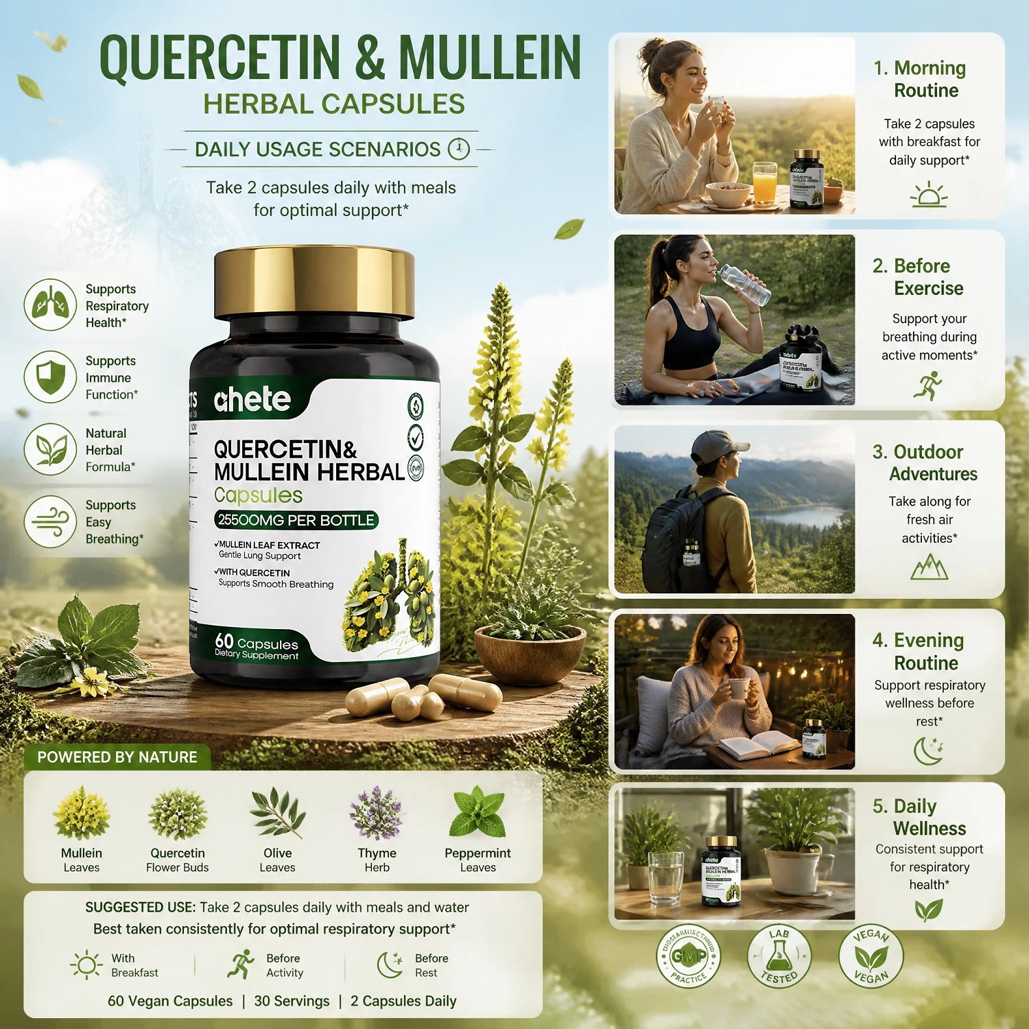 AHETE Mullein Leaf & Quercetin Capsules - Image 5