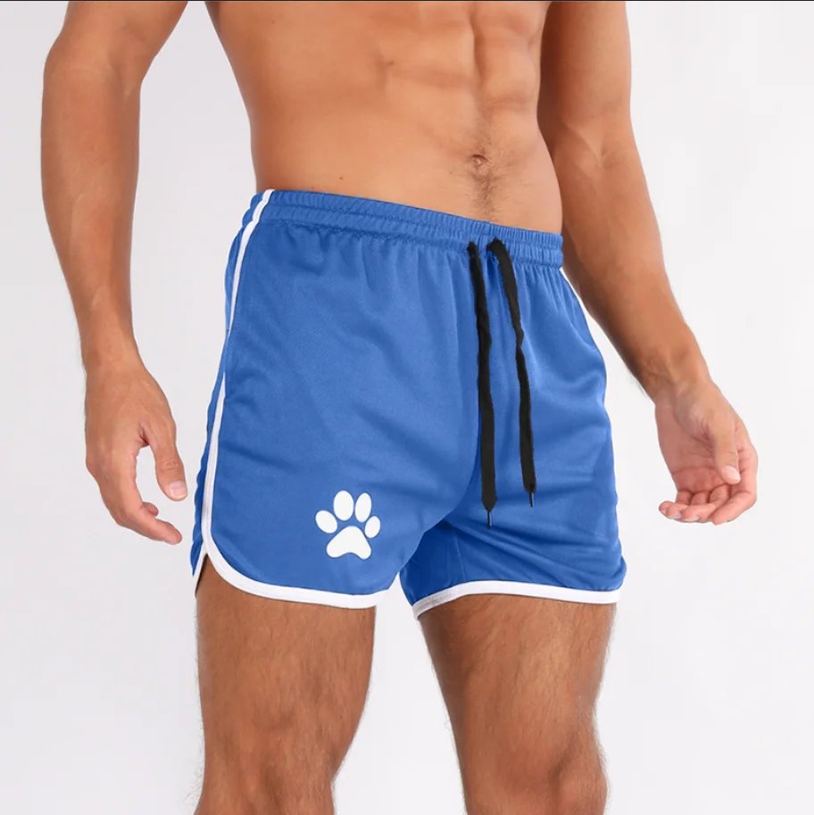 Light royal blue